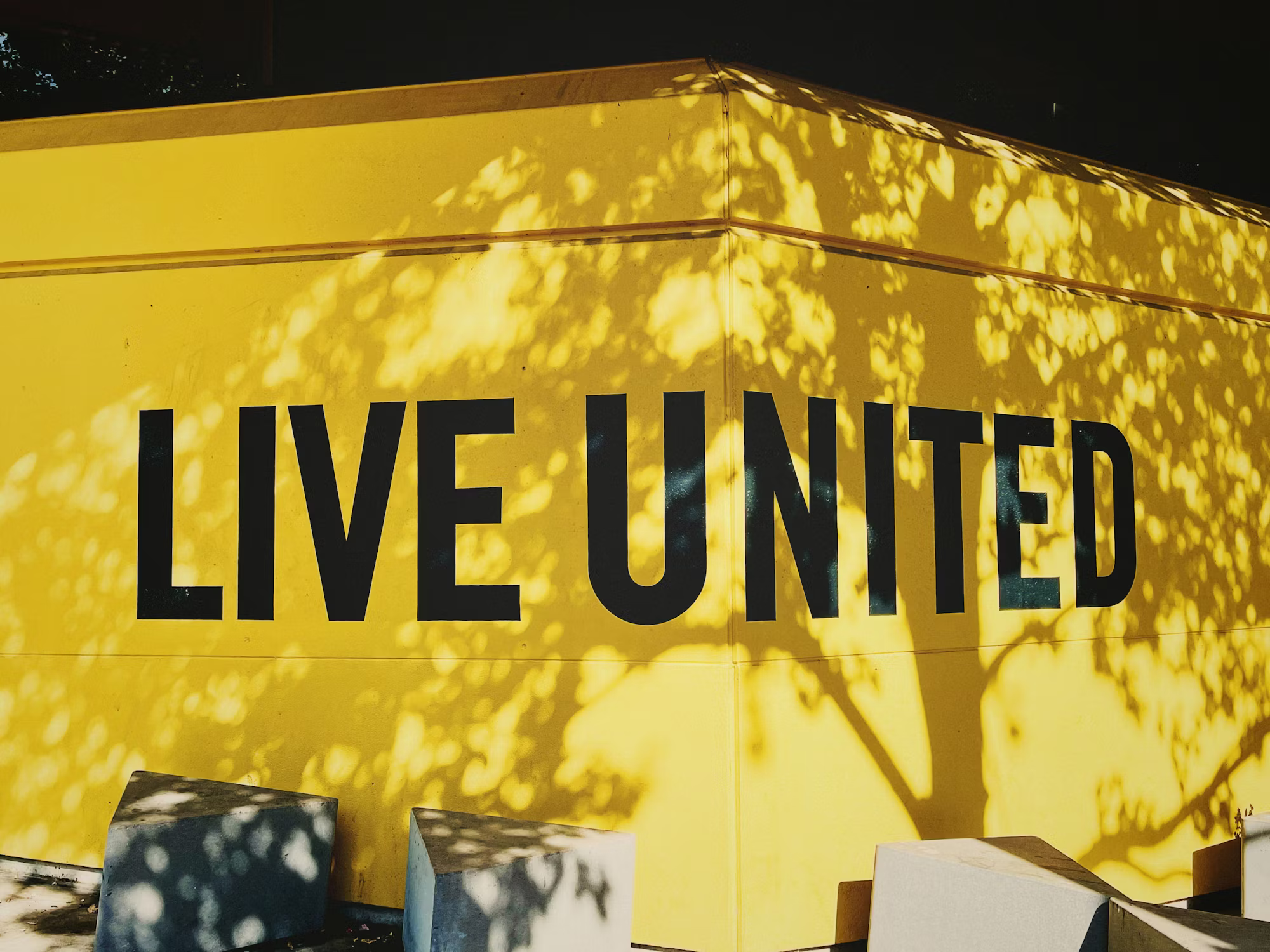 Building Emotional Resilience: Key Strategies for Navigating Life’s Challenges